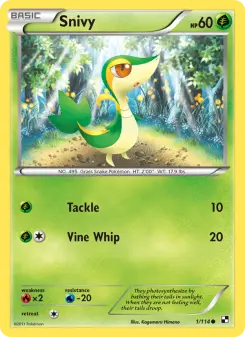Carta Snivy