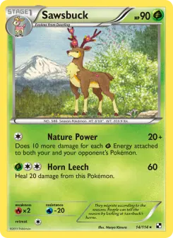 Carta Sawsbuck