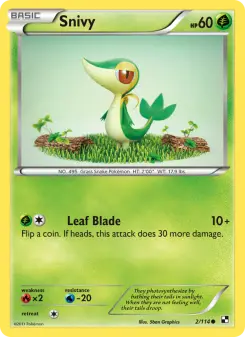 Carta Snivy