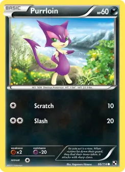 Carta Purrloin