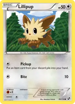 Carta Lillipup
