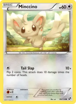 Carta Minccino