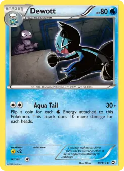 Carta Dewott