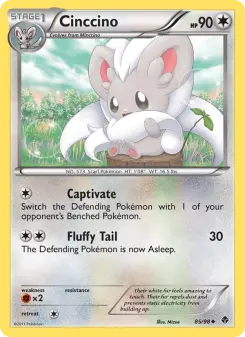 Carta Cinccino