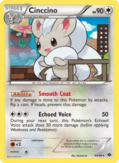 Carta Cinccino