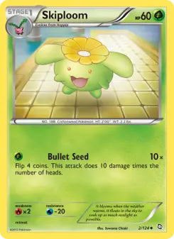 Carta Skiploom