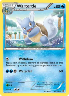Carta Wartortle