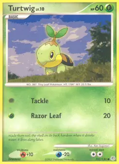 Carta Turtwig
