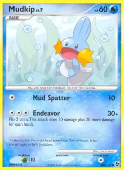 Carta Mudkip
