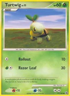Carta Turtwig
