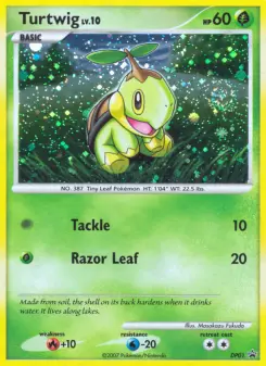 Carta Turtwig