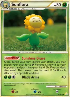 Carta Sunflora