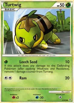 Carta Turtwig