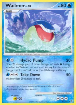 Carta Wailmer