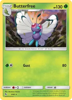 Carta Butterfree