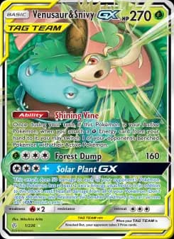 Carta Venusaur & Snivy GX