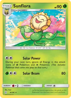 Carta Sunflora