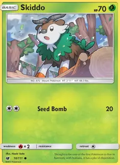 Carta Skiddo