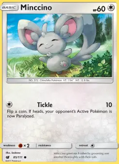 Carta Minccino