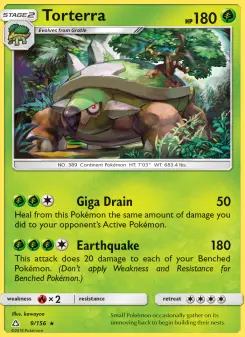Carta Torterra