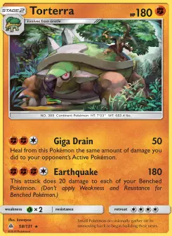 Carta Torterra