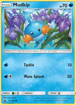 Carta Mudkip