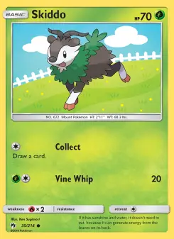 Carta Skiddo