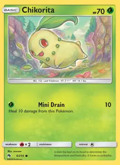 Carta Chikorita