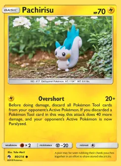 Carta Pachirisu