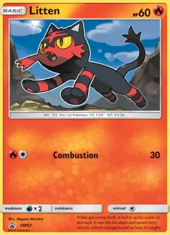 Carta Litten