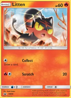 Carta Litten