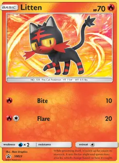 Carta Litten