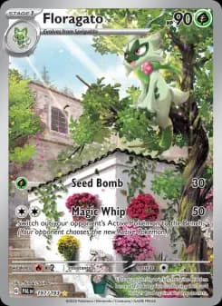 Carta Floragato