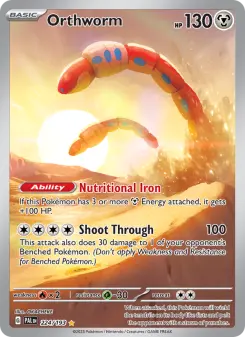 Carta Orthworm