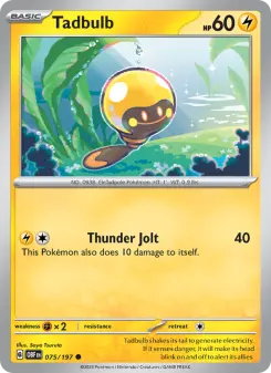 Carta Tadbulb