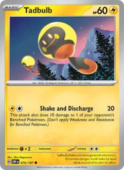 Carta Tadbulb