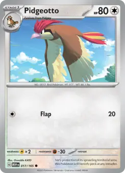 Carta Pidgeotto