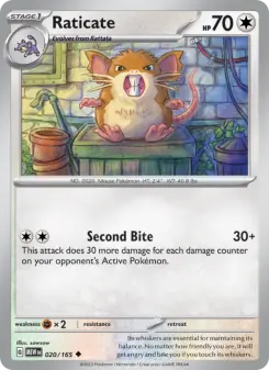Carta Raticate