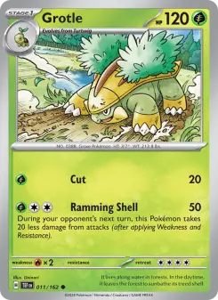 Carta Grotle