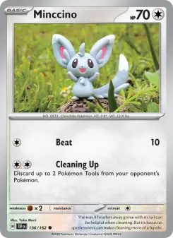 Carta Minccino