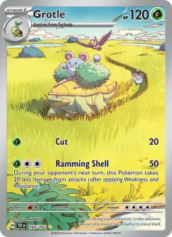 Carta Grotle