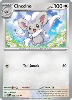 Carta Cinccino