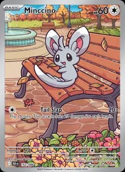 Carta Minccino