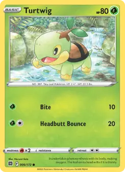 Carta Turtwig