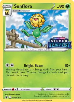 Carta Sunflora