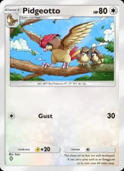 Carta Pidgeotto