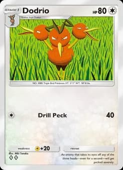 Carta Dodrio