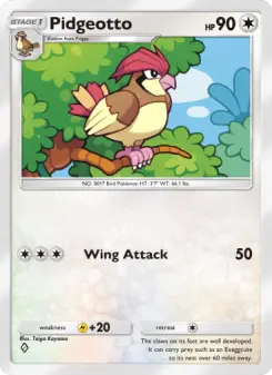 Carta Pidgeotto
