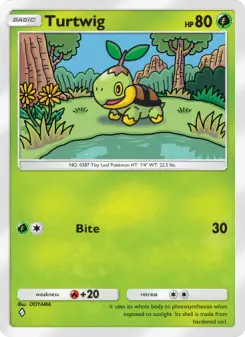 Carta Turtwig