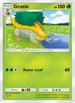 Carta Grotle